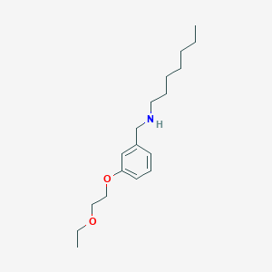 molecular formula C18H31NO2 B1389356 N-[3-(2-Ethoxyethoxy)benzyl]-1-heptanamine CAS No. 1040691-76-6