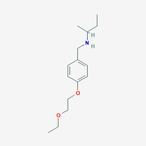 molecular formula C15H25NO2 B1389374 N-[4-(2-Ethoxyethoxy)benzyl]-2-butanamine CAS No. 1040692-84-9