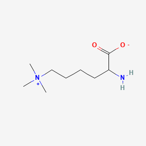 molecular formula C9H20N2O2 B13893968 Laminine CAS No. 2408-79-9