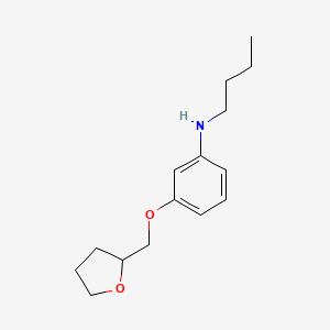molecular formula C15H23NO2 B1389499 N-Butyl-3-(tetrahydro-2-furanylmethoxy)aniline CAS No. 1040681-40-0