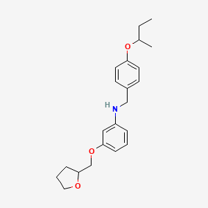 N-[4-(Sec-butoxy)benzyl]-3-(tetrahydro-2-furanylmethoxy)aniline
