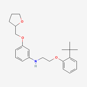 N-{2-[2-(Tert-butyl)phenoxy]ethyl}-3-(tetrahydro-2-furanylmethoxy)aniline