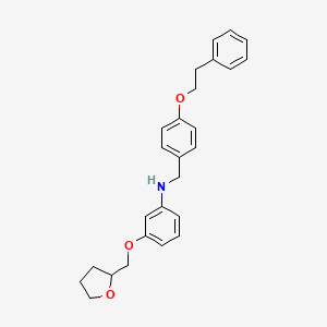 N-[4-(Phenethyloxy)benzyl]-3-(tetrahydro-2-furanylmethoxy)aniline
