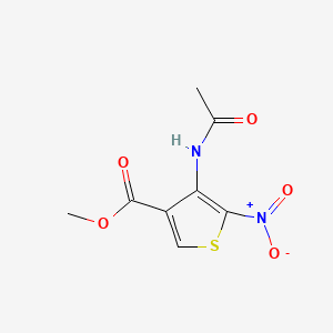 molecular formula C8H8N2O5S B13896073 Methyl 4-(acetylamino)-5-nitro-3-thiophenecarboxylate 