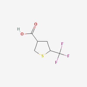 molecular formula C6H7F3O2S B13896487 5-(Trifluoromethyl)thiolane-3-carboxylic acid 