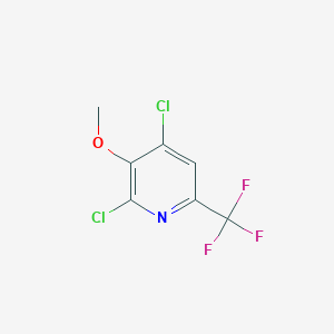 2,4-Dichloro-3-methoxy-6-(trifluoromethyl)pyridine