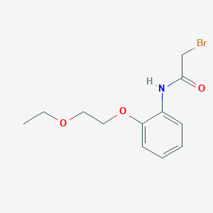 2-Bromo-N-[2-(2-ethoxyethoxy)phenyl]acetamide