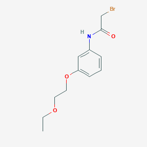 molecular formula C12H16BrNO3 B1389867 2-Bromo-N-[3-(2-ethoxyethoxy)phenyl]acetamide CAS No. 1138442-49-5