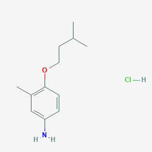 molecular formula C12H20ClNO B1389882 4-(Isopentyloxy)-3-methylaniline hydrochloride CAS No. 1185302-34-4