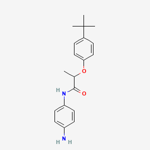 molecular formula C19H24N2O2 B1389890 N-(4-Aminophenyl)-2-[4-(tert-butyl)phenoxy]-propanamide CAS No. 1020056-03-4