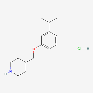 4-[(3-Isopropylphenoxy)methyl]piperidine hydrochloride