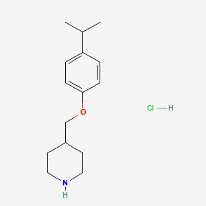 molecular formula C15H24ClNO B1389893 4-[(4-Isopropylphenoxy)methyl]piperidine hydrochloride CAS No. 1184993-18-7