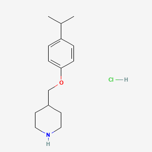 4-[(4-Isopropylphenoxy)methyl]piperidine hydrochloride