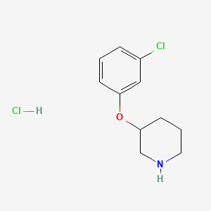 molecular formula C11H15Cl2NO B1389894 3-(3-Chlorophenoxy)piperidine hydrochloride CAS No. 1185301-51-2