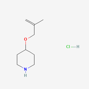 molecular formula C9H18ClNO B1389895 4-[(2-Methyl-2-propenyl)oxy]piperidine hydrochloride CAS No. 1185077-23-9