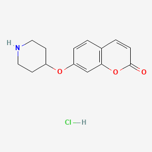 molecular formula C14H16ClNO3 B1389898 7-(4-Piperidinyloxy)-2H-chromen-2-one hydrochloride CAS No. 1185124-26-8