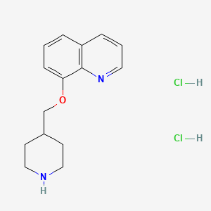 8-(4-Piperidinylmethoxy)quinoline dihydrochloride