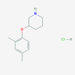 3-(2,4-Dimethylphenoxy)piperidine hydrochloride