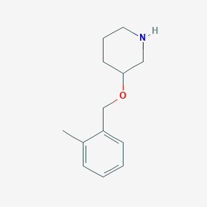 molecular formula C13H19NO B1389911 3-[(2-Methylbenzyl)oxy]piperidine CAS No. 946714-17-6