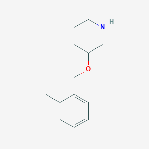 3-[(2-Methylbenzyl)oxy]piperidine