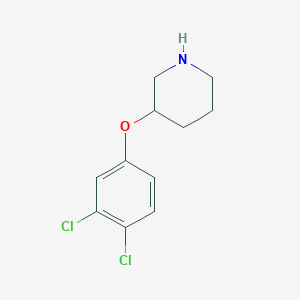 molecular formula C11H13Cl2NO B1389926 3-(3,4-Dichlorophenoxy)piperidine CAS No. 946714-37-0