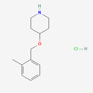 molecular formula C13H20ClNO B1389928 4-((2-Methylbenzyl)oxy)piperidine hydrochloride CAS No. 1185175-54-5