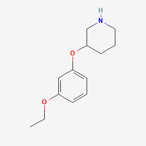 molecular formula C13H19NO2 B1389929 3-(3-Ethoxyphenoxy)piperidine CAS No. 946714-65-4