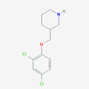 molecular formula C12H15Cl2NO B1390009 3-[(2,4-Dichlorophenoxy)methyl]piperidine CAS No. 946787-19-5