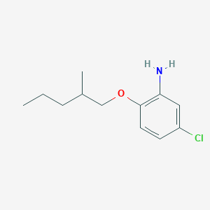 molecular formula C12H18ClNO B1390027 5-Chloro-2-[(2-methylpentyl)oxy]aniline CAS No. 946772-86-7