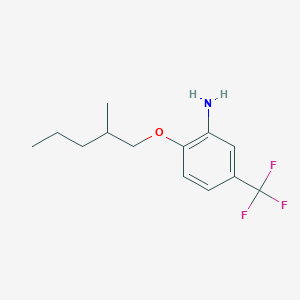 molecular formula C13H18F3NO B1390028 2-[(2-Methylpentyl)oxy]-5-(trifluoromethyl)aniline CAS No. 946773-14-4