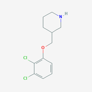 molecular formula C12H15Cl2NO B1390029 3-[(2,3-Dichlorophenoxy)methyl]piperidine CAS No. 946713-10-6