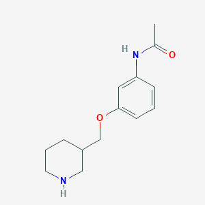 molecular formula C14H20N2O2 B1390031 N-[3-(3-Piperidinylmethoxy)phenyl]acetamide CAS No. 946680-12-2