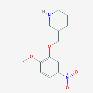 molecular formula C13H18N2O4 B1390032 2-Methoxy-5-nitrophenyl 3-piperidinylmethyl ether CAS No. 946680-39-3