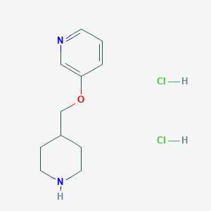 molecular formula C11H18Cl2N2O B1390033 3-(4-Piperidinylmethoxy)pyridine dihydrochloride CAS No. 1185087-06-2