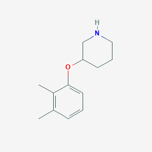 molecular formula C13H19NO B1390034 3-(2,3-Dimethylphenoxy)piperidine CAS No. 946681-02-3