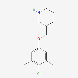 molecular formula C14H20ClNO B1390044 3-[(4-Chloro-3,5-dimethylphenoxy)methyl]piperidine CAS No. 946787-39-9