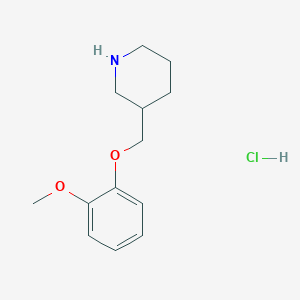 molecular formula C13H20ClNO2 B1390051 3-[(2-Methoxyphenoxy)methyl]piperidine hydrochloride CAS No. 1185303-95-0