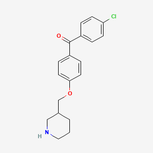 molecular formula C19H20ClNO2 B1390052 (4-Chlorophenyl)[4-(3-piperidinylmethoxy)phenyl]-methanone CAS No. 946724-86-3
