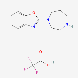 2-(1,4-Diazepan-1-yl)-1,3-benzoxazoletrifluoroacetic acid salt
