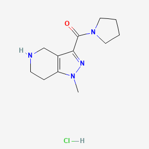 molecular formula C12H19ClN4O B1390066 1-methyl-3-(pyrrolidin-1-ylcarbonyl)-4,5,6,7-tetrahydro-1H-pyrazolo[4,3-c]pyridine hydrochloride CAS No. 1185302-20-8