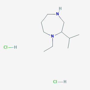 molecular formula C10H24Cl2N2 B1390077 1-Ethyl-2-isopropyl-1,4-diazepane dihydrochloride CAS No. 1185021-25-3