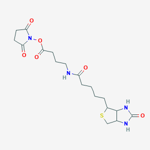 molecular formula C18H26N4O6S B13902094 (2,5-Dioxopyrrolidin-1-yl) 4-[5-(2-oxo-1,3,3a,4,6,6a-hexahydrothieno[3,4-d]imidazol-4-yl)pentanoylamino]butanoate 