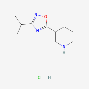 3-(3-Isopropyl-1,2,4-oxadiazol-5-yl)piperidine hydrochloride