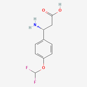 molecular formula C10H11F2NO3 B13902879 (3R)-3-amino-3-[4-(difluoromethoxy)phenyl]propanoic acid 