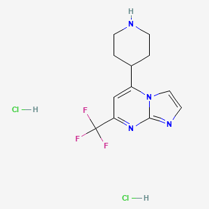 molecular formula C12H15Cl2F3N4 B1390295 5-Piperidin-4-yl-7-trifluoromethyl-imidazo[1,2-a]-pyrimidine dihydrochloride CAS No. 1185304-04-4