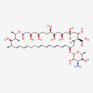 molecular formula C47H75NO17 B13903748 (1R,3S,5R,6R,9R,11R,15S,16R,17R,18S,33R,35S,36R,37S)-33-[(2R,3S,4S,5S,6R)-4-amino-3,5-dihydroxy-6-methyloxan-2-yl]oxy-1,3,5,6,9,11,17,37-octahydroxy-15,16,18-trimethyl-13-oxo-14,39-dioxabicyclo[33.3.1]nonatriaconta-19,21,25,27,29,31-hexaene-36-carboxylic acid 