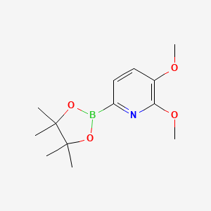 molecular formula C13H20BNO4 B1390521 2,3-二甲氧基-6-(4,4,5,5-四甲基-1,3,2-二氧杂硼烷-2-基)吡啶 CAS No. 1131335-62-0