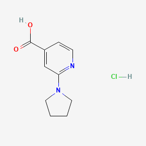 2-Pyrrolidin-1-YL-isonicotinic acid hydrochloride