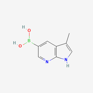 molecular formula C8H9BN2O2 B1390529 3-甲基-7-氮杂吲哚-5-硼酸 CAS No. 1454301-64-4