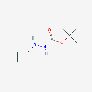 molecular formula C9H18N2O2 B1390552 N'-环丁基-肼甲酸叔丁酯 CAS No. 959137-72-5